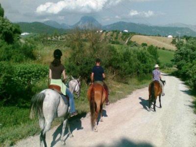 Lomas Del Golf Appartamento *